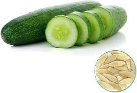 Indian PGH Cucumber Seeds for Planting – Heirloom, Non-GMO, High-Yield Vegetable Seeds for Home Garden & Organic Farming