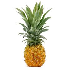 Queen Victoria Pineapple Fruit Seeds – Heirloom Variety for Unique Garden-Grown Pineapples