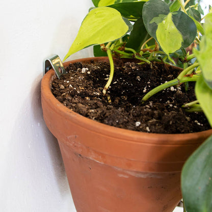 Wall mounting kit for 5 plant pots