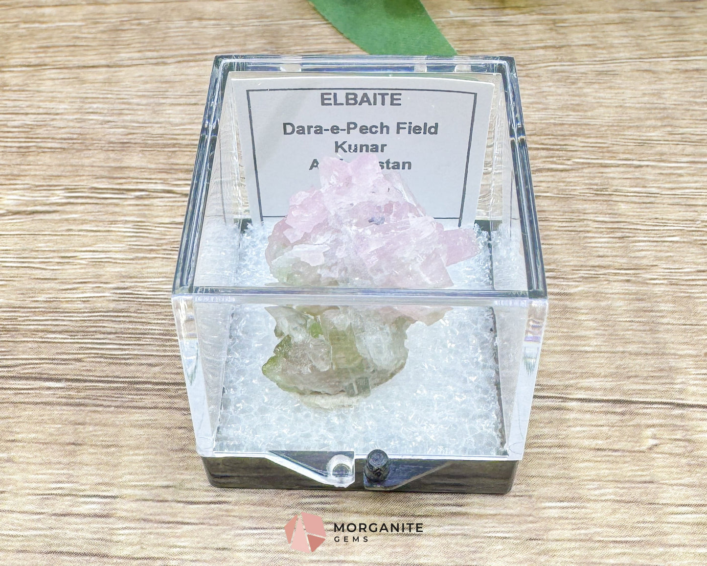 Elbaite Tourmaline – Natural Crystal Specimen in Clear Display Case 2.19g (27×21×11 mm) – Dara‑e‑Pech, Kunar, Afghanistan