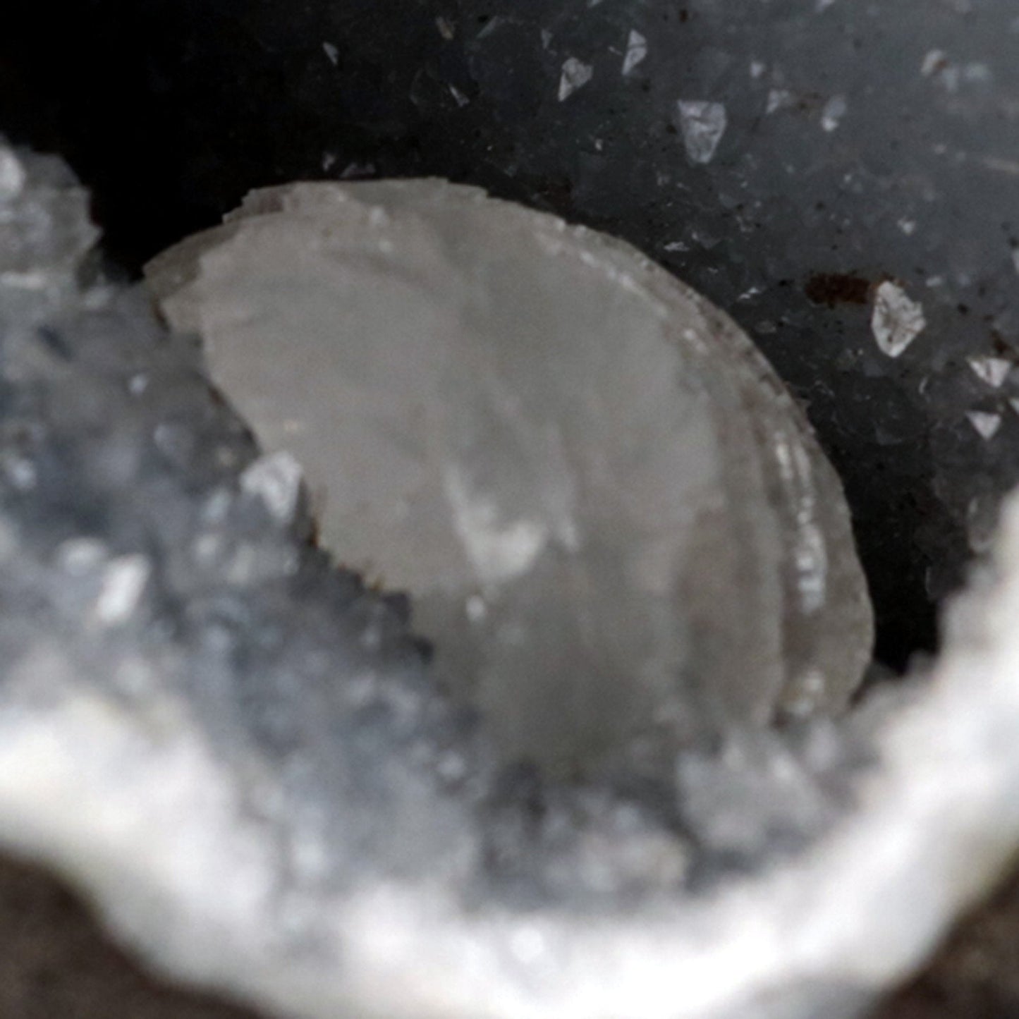 Epi-Stilbite Inside MM Quartz Geode Natural Mineral Specimen  # B 4776