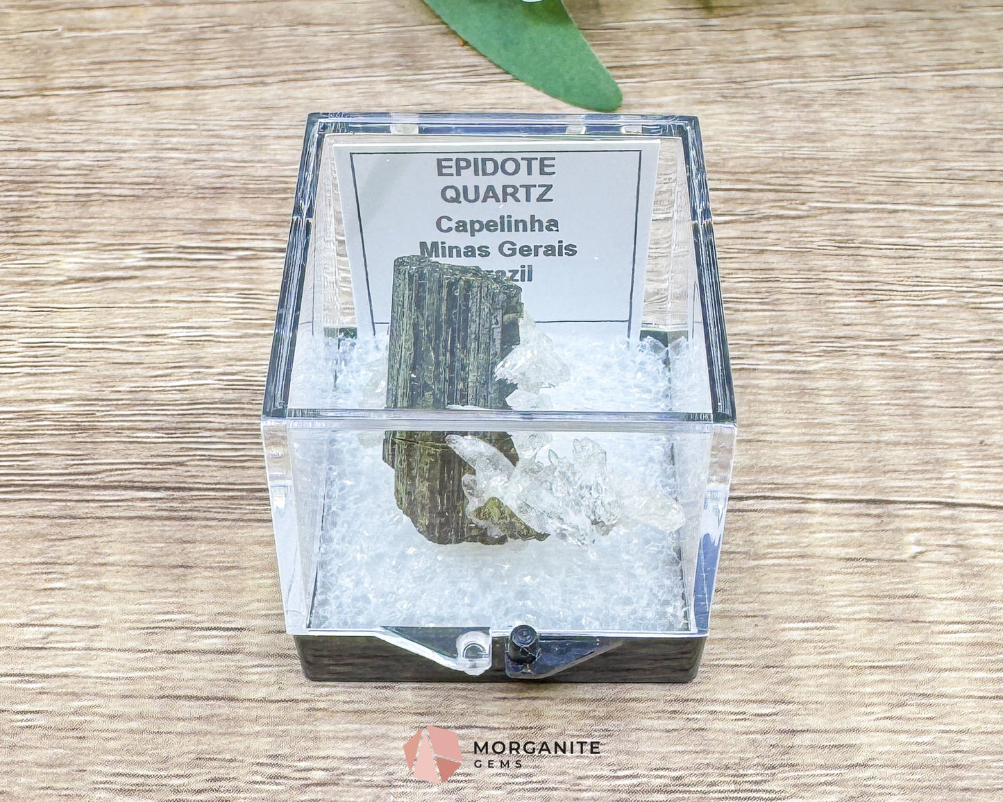 Epidote Crystal with Quartz – Natural Specimen in Clear Display Case 2g (29×29×13 mm) – Capelinha, Minas Gerais, Brazil