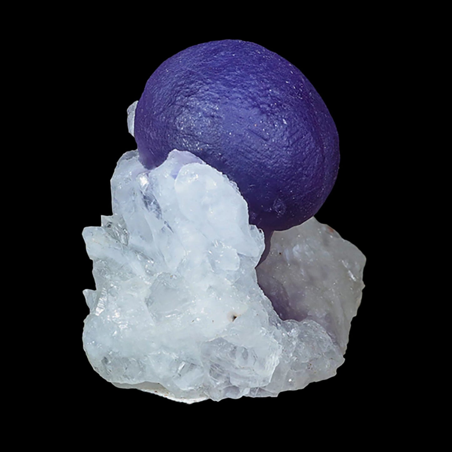 Extremely Rare Dark Purple Botryoidal Fluorite Natural Mineral Specimen – One-of-a-Kind World-Class Piece USA # B 7035