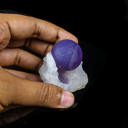 Extremely Rare Dark Purple Botryoidal Fluorite Natural Mineral Specimen – One-of-a-Kind World-Class Piece USA # B 7035