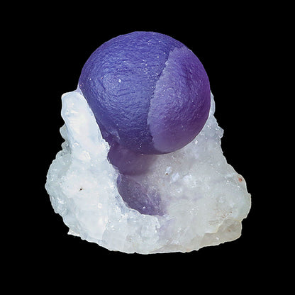 Extremely Rare Dark Purple Botryoidal Fluorite Natural Mineral Specimen – One-of-a-Kind World-Class Piece USA # B 7035