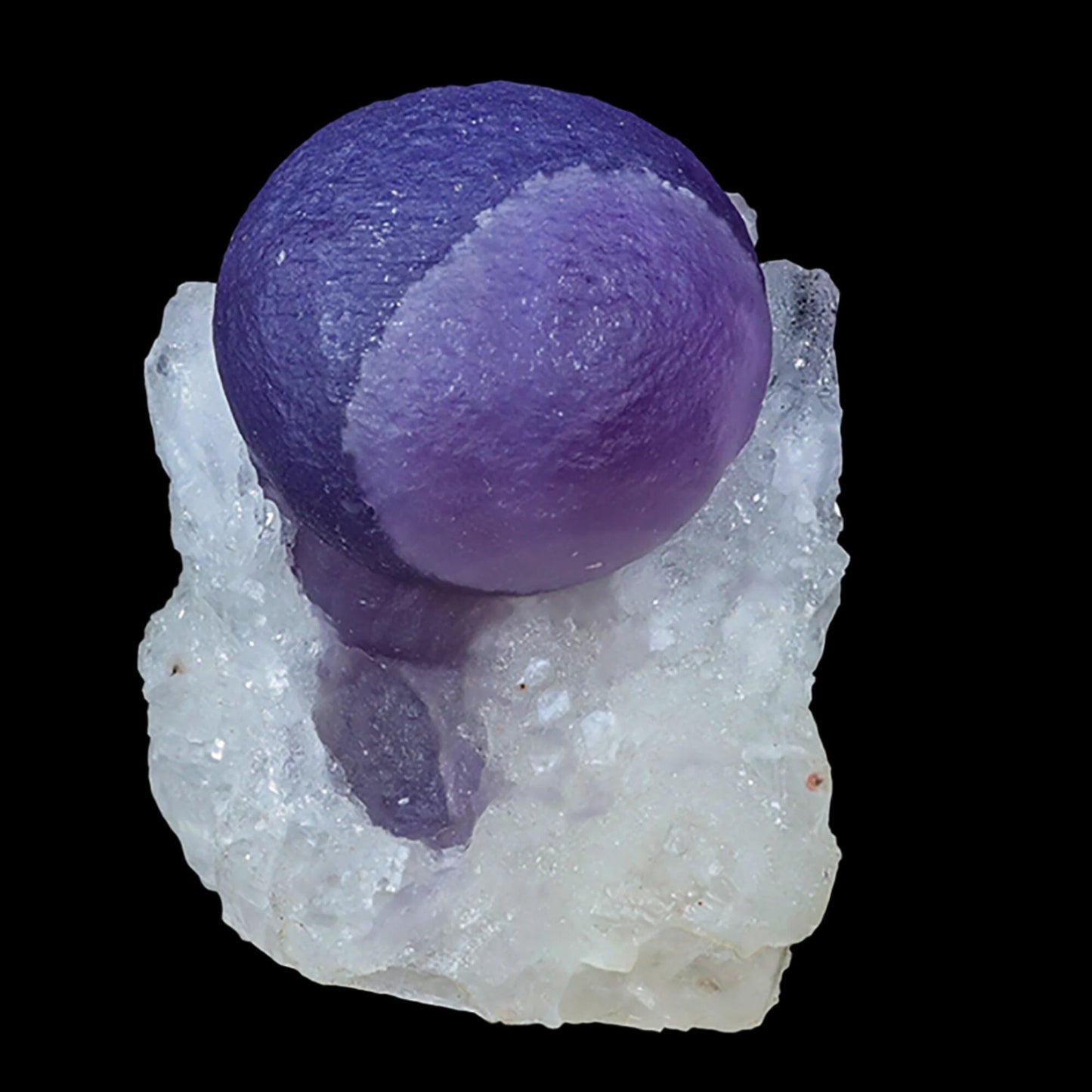 Extremely Rare Dark Purple Botryoidal Fluorite Natural Mineral Specimen – One-of-a-Kind World-Class Piece USA # B 7035