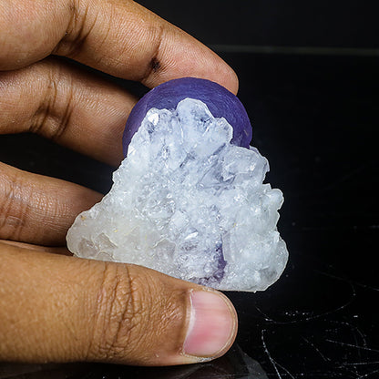 Extremely Rare Dark Purple Botryoidal Fluorite Natural Mineral Specimen – One-of-a-Kind World-Class Piece USA # B 7035