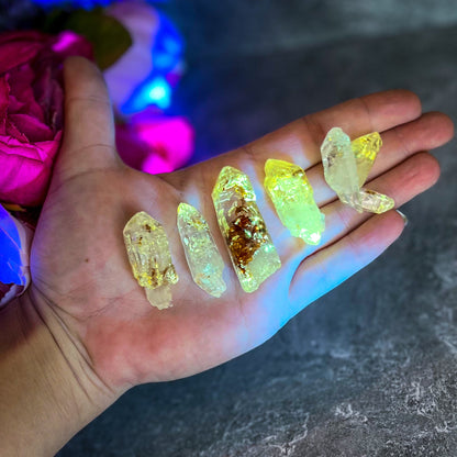 Firefly Petroleum Quartz – Rare Fluorescent Crystal Specimens from Madagascar