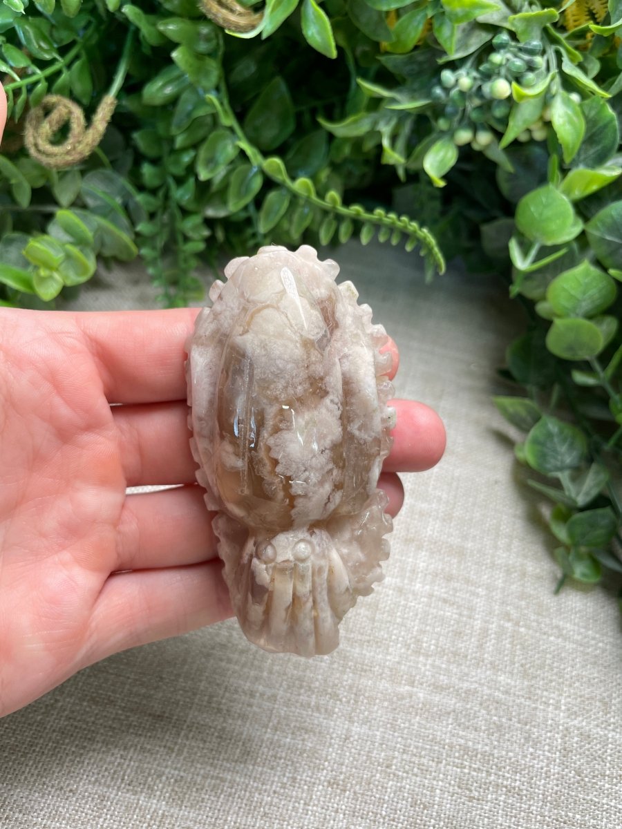 Flower Agate Cuttlefish