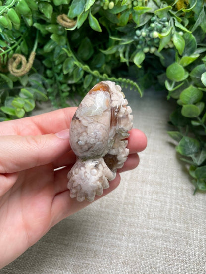 Flower Agate Cuttlefish
