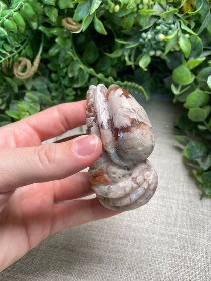Flower Agate Cuttlefish