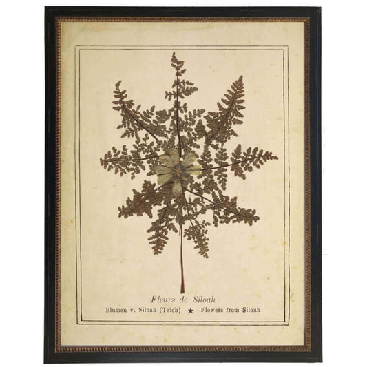 Flowers from Siloah Victorian Vintage Bookplate Print in Black Beaded Frame