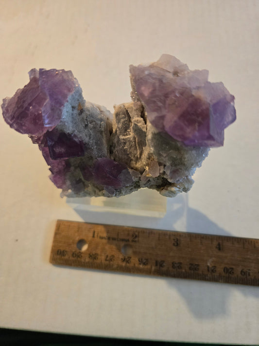 Purple Fluorite “Rabbit Ears” – 3 Inch Crystal from Berbes Mine, Spain