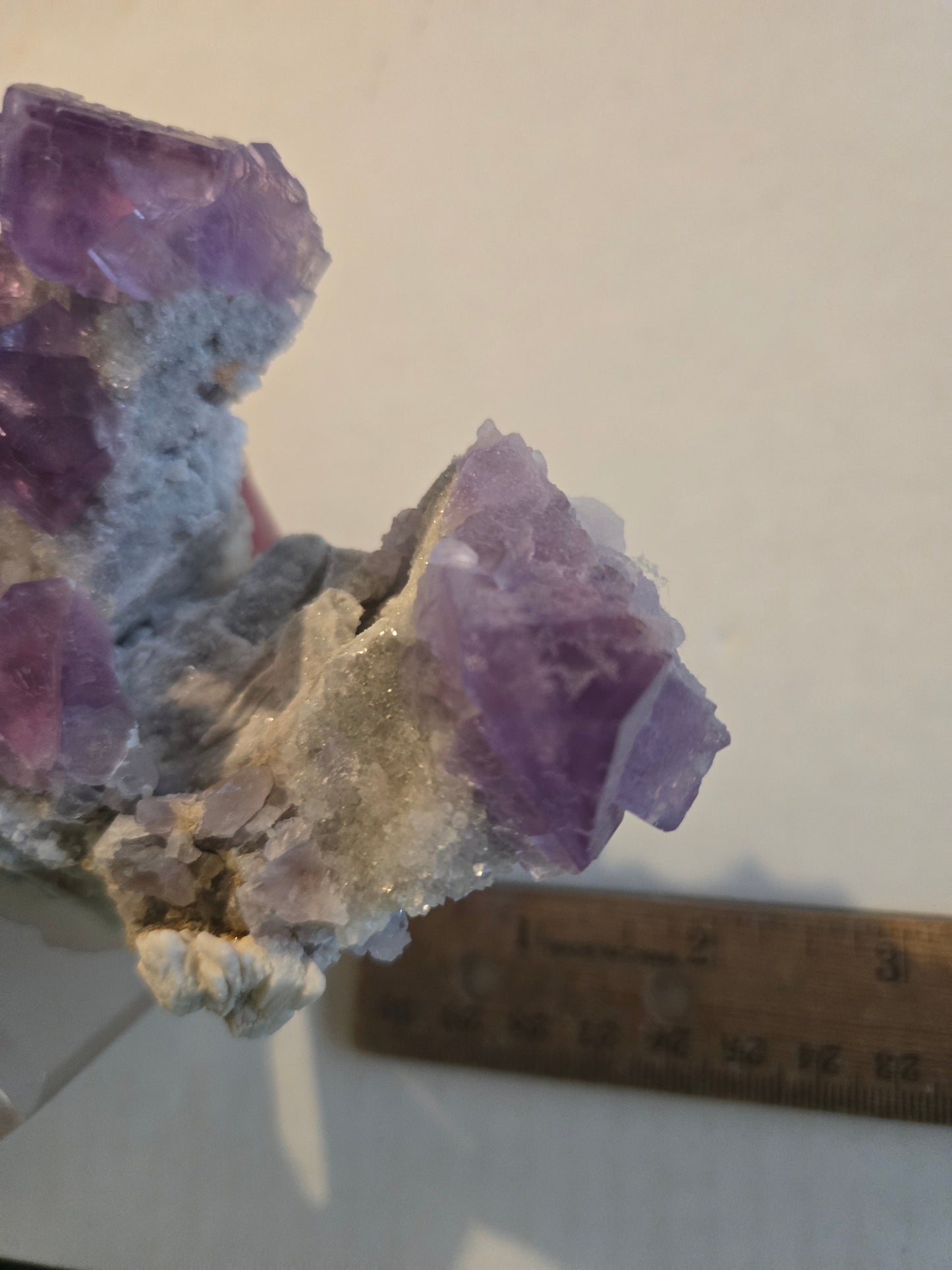 Purple Fluorite “Rabbit Ears” – 3 Inch Crystal from Berbes Mine, Spain