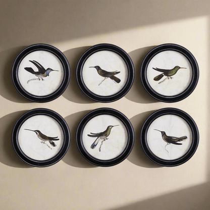 Framed Vintage Hummingbird Prints (Set of 6)