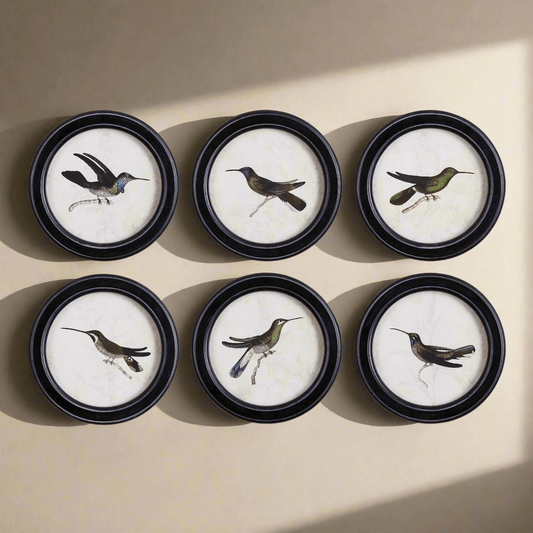 Framed Vintage Hummingbird Prints (Set of 6)