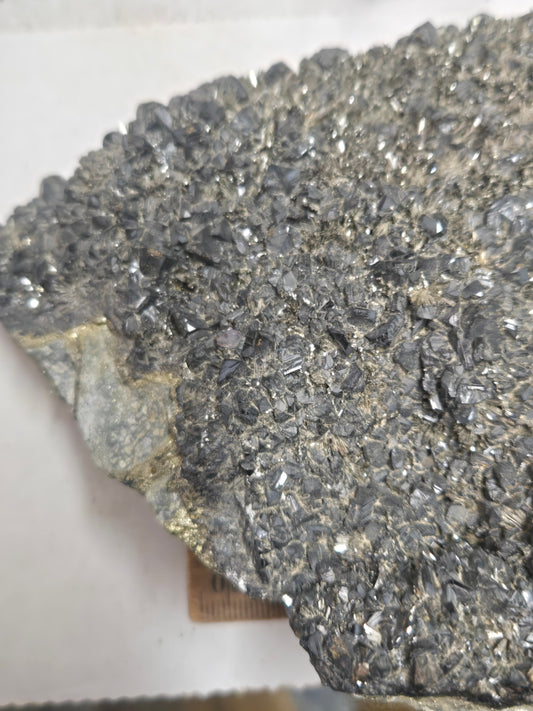 Franckeite