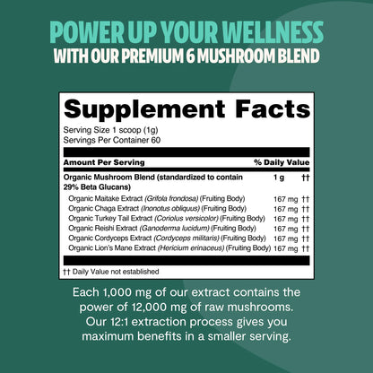 Ultimate Mushroom Complex Powder – 6 Mushroom Blend for Wellness