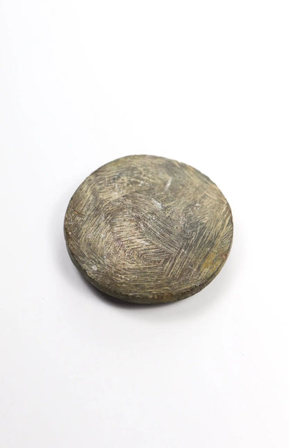 Goniatite Fossil