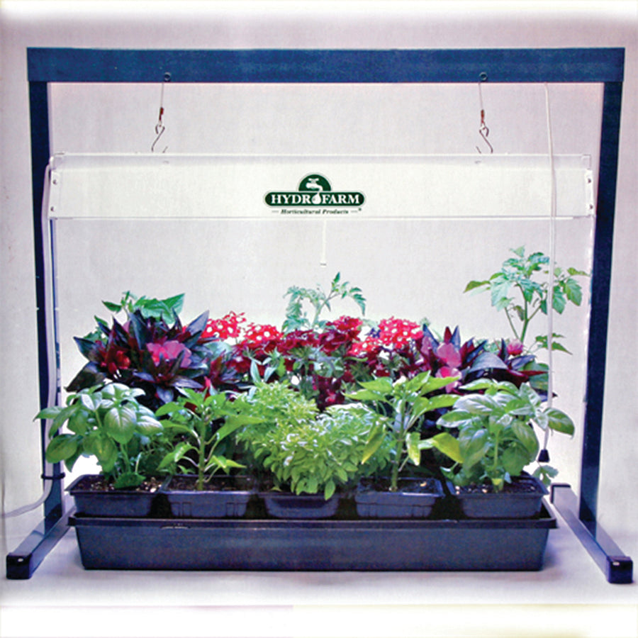 2-Foot Light System with One Lamp Jump Start