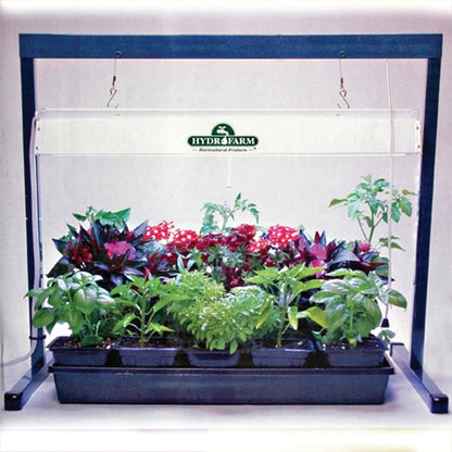 2-Foot Light System with One Lamp Jump Start