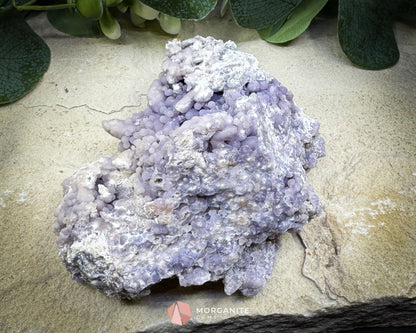 Grape Agate Cluster Specimen 544g – Extra Large Purple Botryoidal Chalcedony for Display & Spiritual Healing