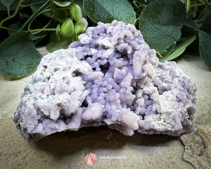 Grape Agate Cluster Specimen 544g – Extra Large Purple Botryoidal Chalcedony for Display & Spiritual Healing
