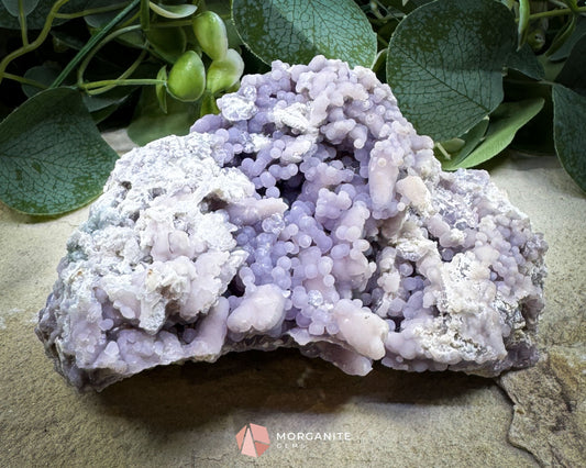 Grape Agate Cluster Specimen 544g – Extra Large Purple Botryoidal Chalcedony for Display & Spiritual Healing