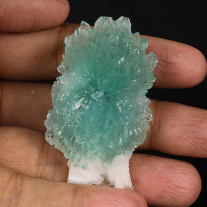 Green Apophyllite Bow with Stilbite Natural Mineral Specimen  # B 6843