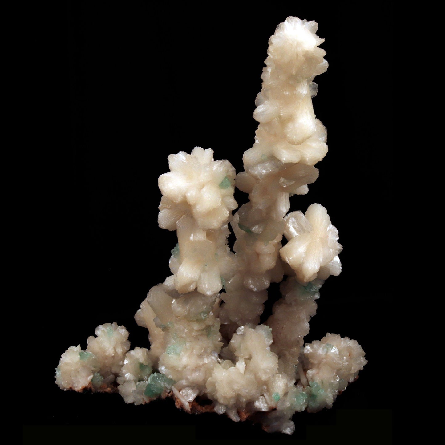 Green Apophyllite Crystals with Stilbite on Heulandite Bush Formation #W35