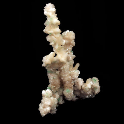 Green Apophyllite Crystals with Stilbite on Heulandite Bush Formation #W35