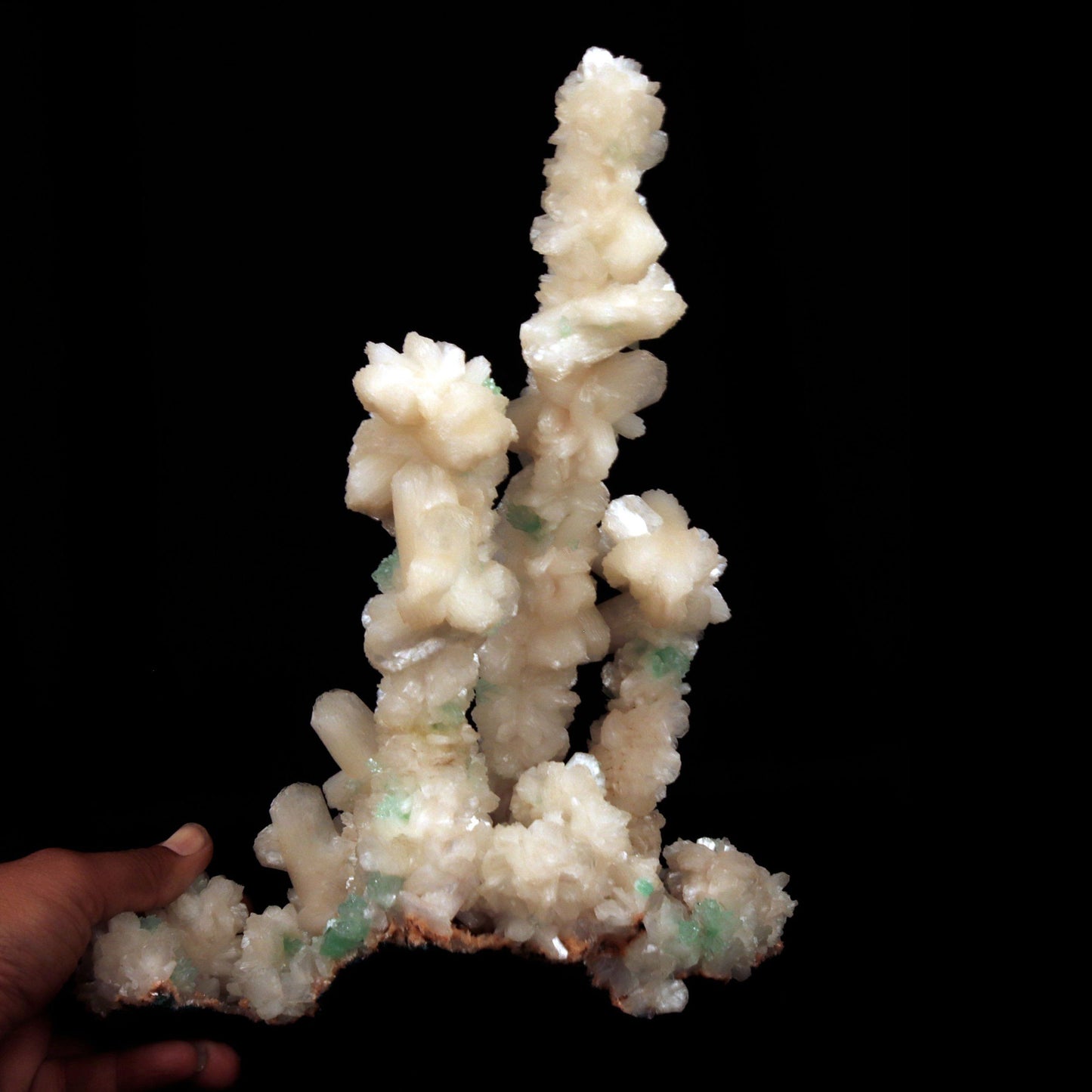 Green Apophyllite Crystals with Stilbite on Heulandite Bush Formation #W35