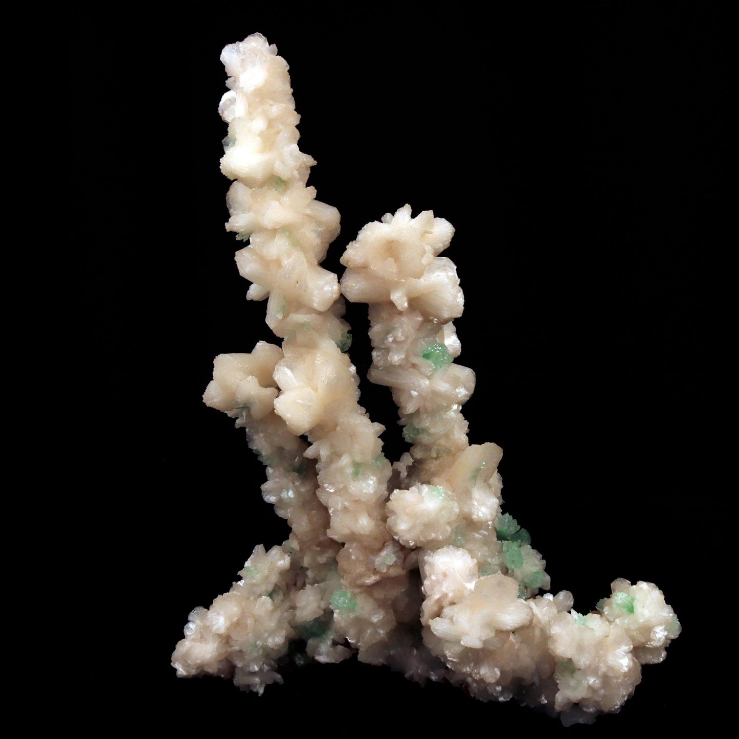 Green Apophyllite Crystals with Stilbite on Heulandite Bush Formation #W35
