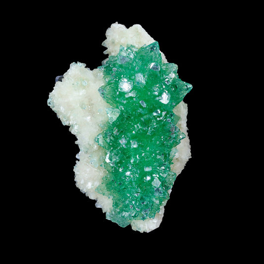 Green Apophyllite sharp terminated Natural Mineral Specimen USA # B 7049