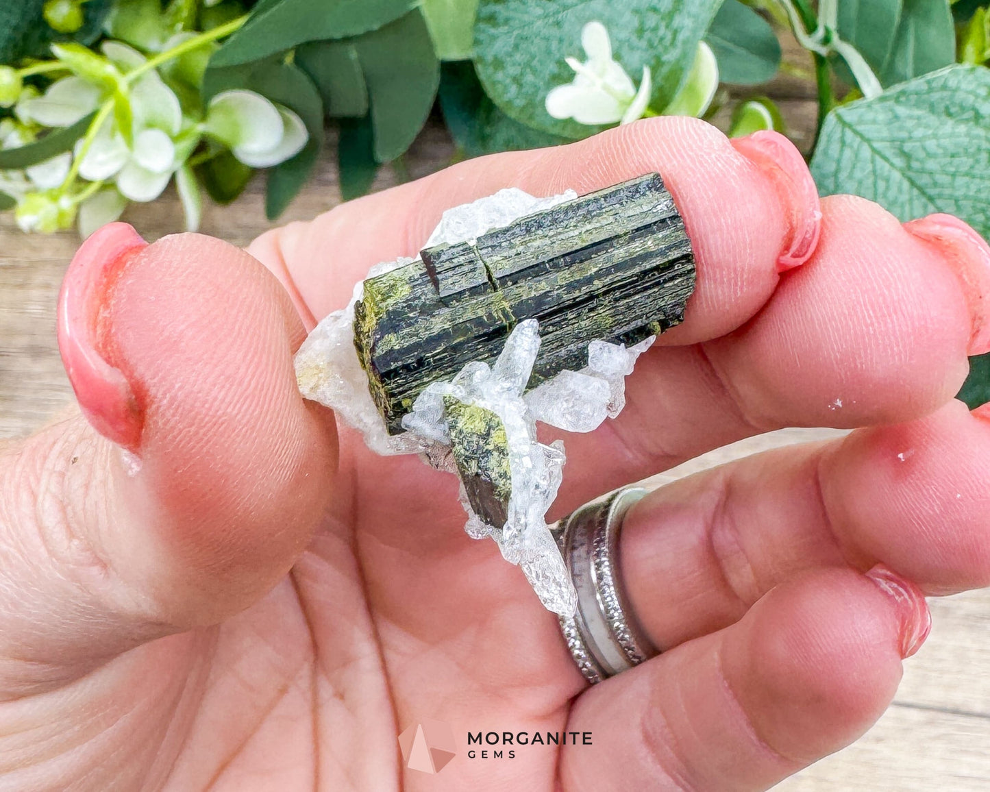 Epidote Crystal with Quartz – Natural Specimen in Clear Display Case 2g (29×29×13 mm) – Capelinha, Minas Gerais, Brazil