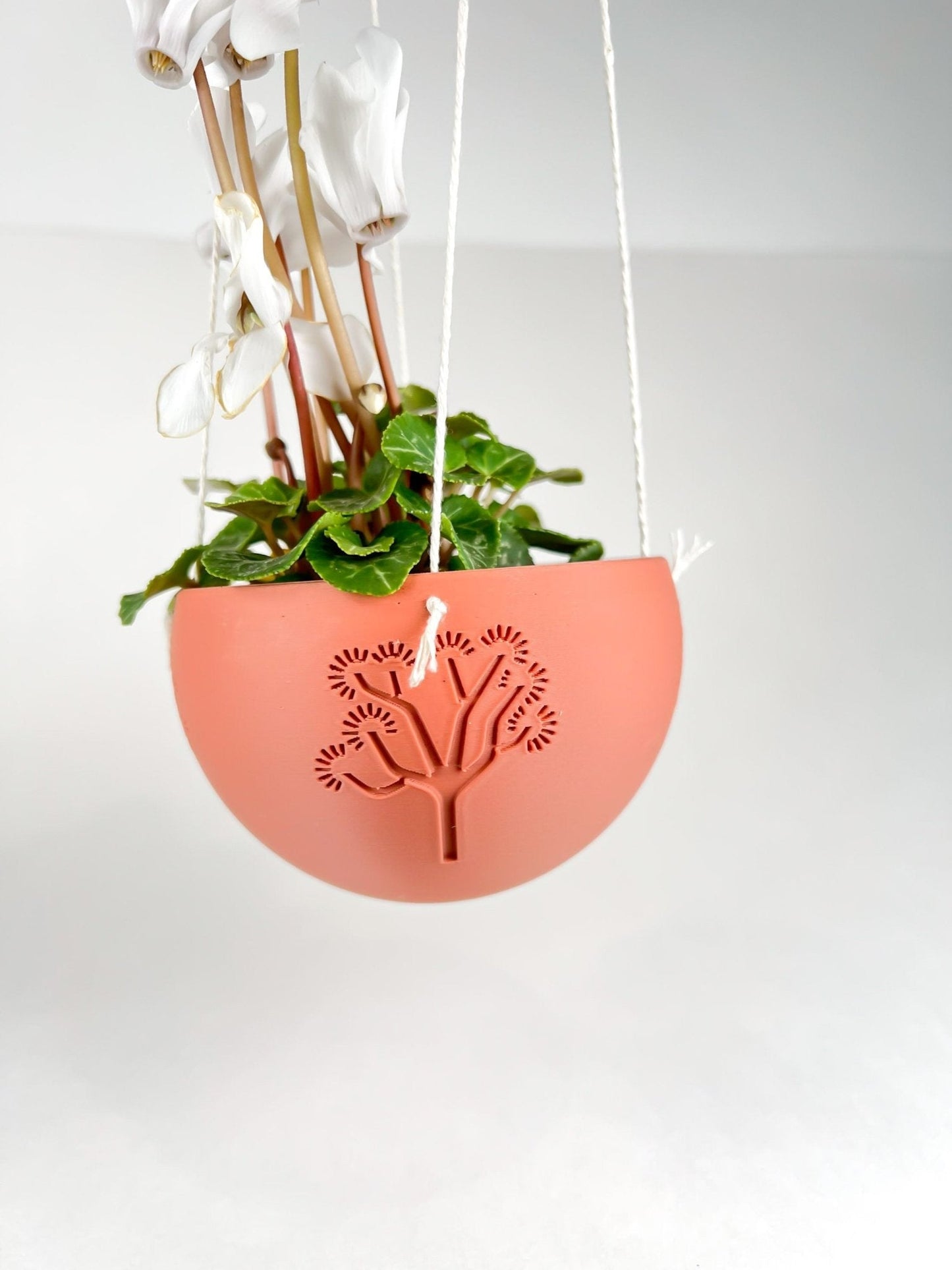 Hanging Joshua Tree Planter