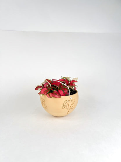 Hanging Joshua Tree Planter