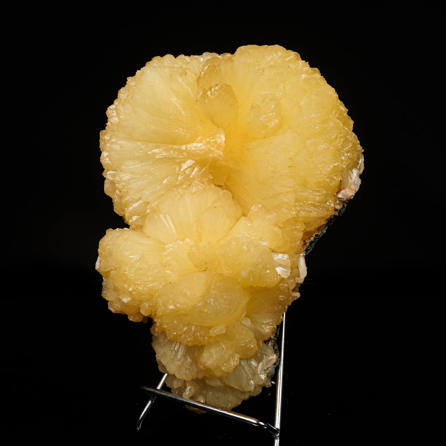 Huge Stilbite 'Bow-Tie' Natural Mineral Specimen # B 6776