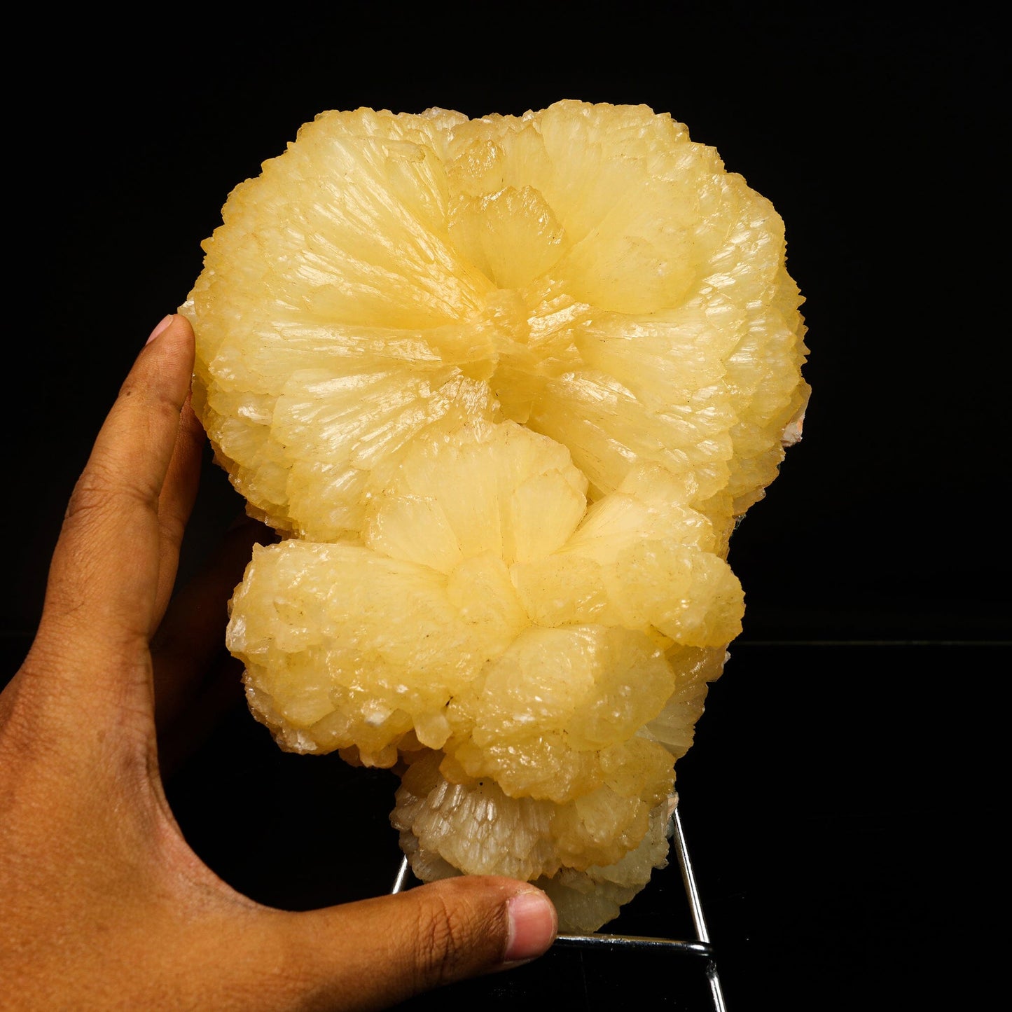 Huge Stilbite 'Bow-Tie' Natural Mineral Specimen # B 6776