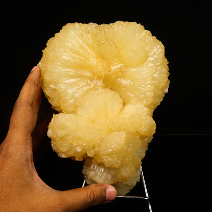 Huge Stilbite 'Bow-Tie' Natural Mineral Specimen # B 6776