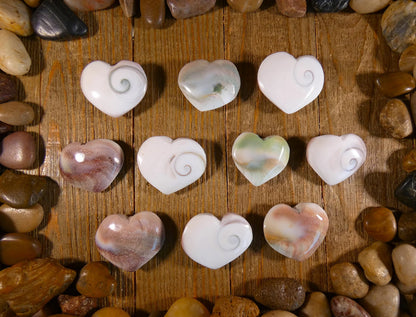 Shiva Shells - Hearts