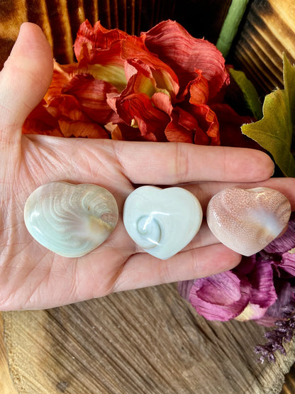 Shiva Shells - Hearts