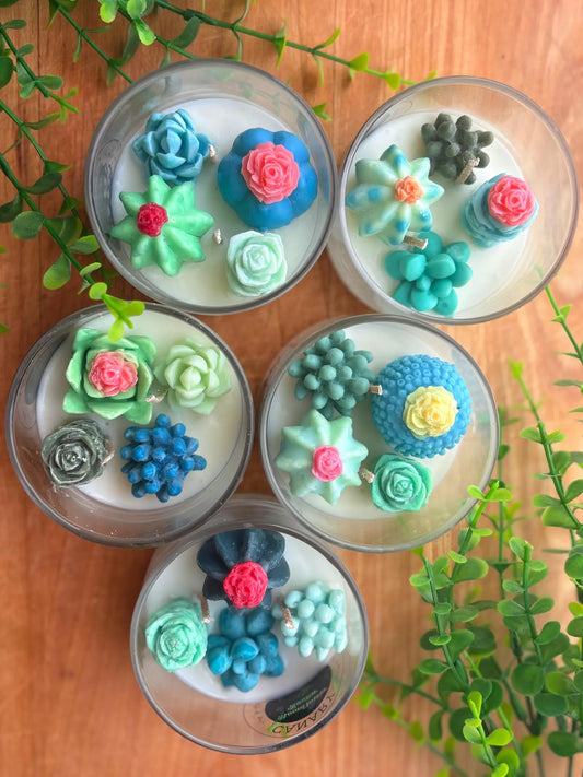 Succulent Garden Candle - LIMITED EDITION! (*NEW*)