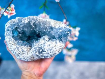 Raw CELESTITE Geodes 3 - 5 1/2 lbs