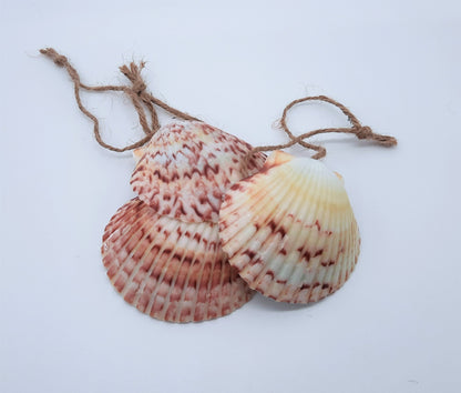 Resin Seascape Scallop Seashell Ornament