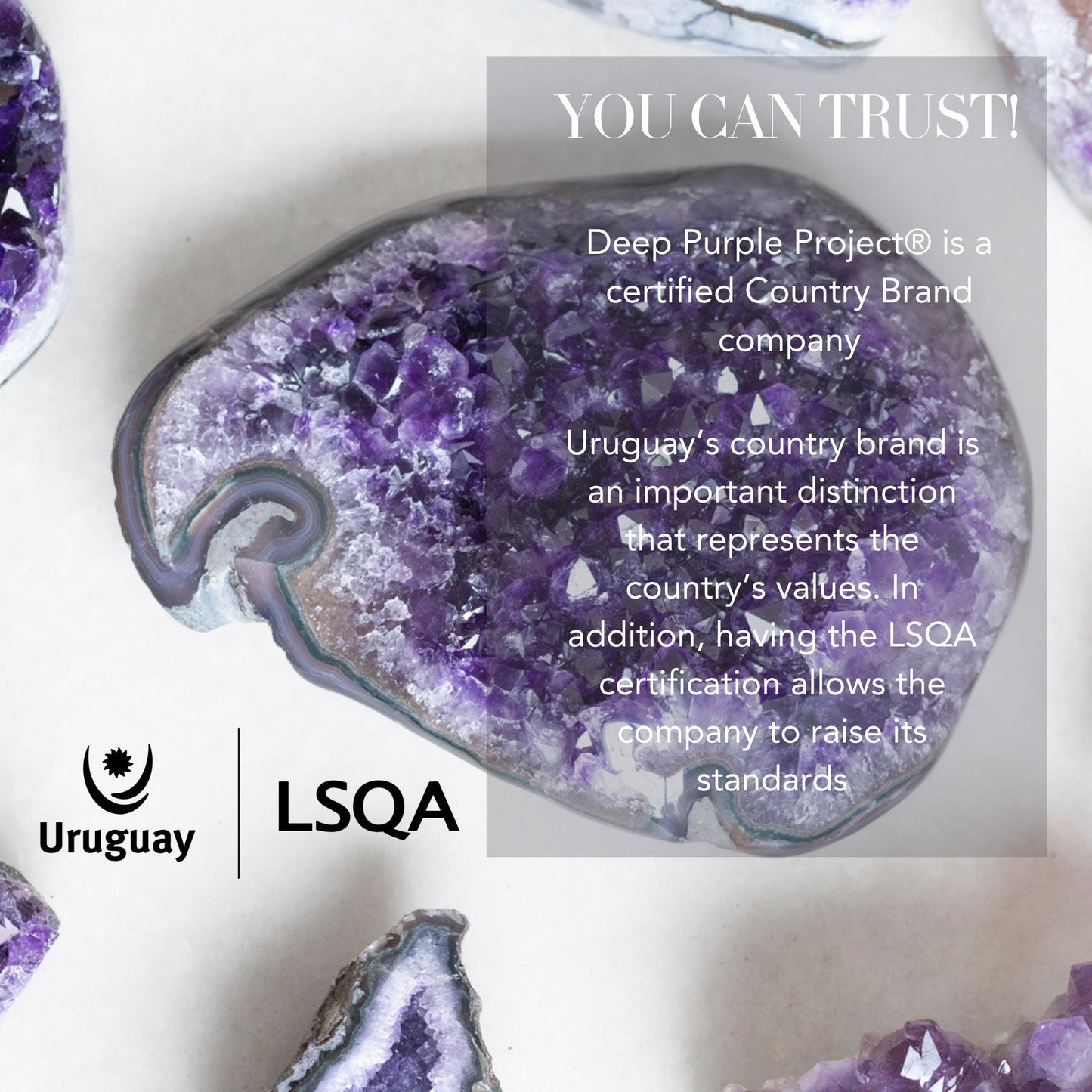 Agate Slice SET (2pk) on Stands - Ethically Sourced