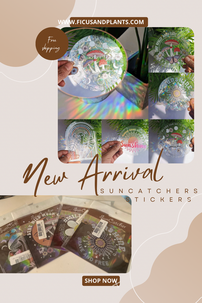 2 Mystery Sun Catcher Stickers