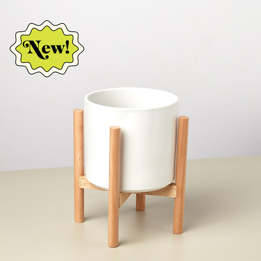 Cylinder Planter with Wood Stand - 5" Pot, multiple colors