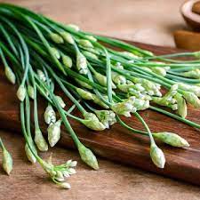 Garlic Chives Herb Seeds for Planting – Heirloom & Non-GMO Seeds for Culinary Herb Gardens and Edible Landscaping
