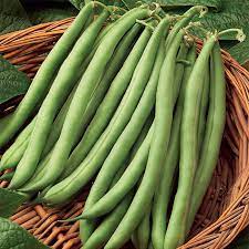 Pole Bean Seeds for Planting – High Yield, Non-GMO Climbing Green Beans for Home Garden and Vertical Growing
